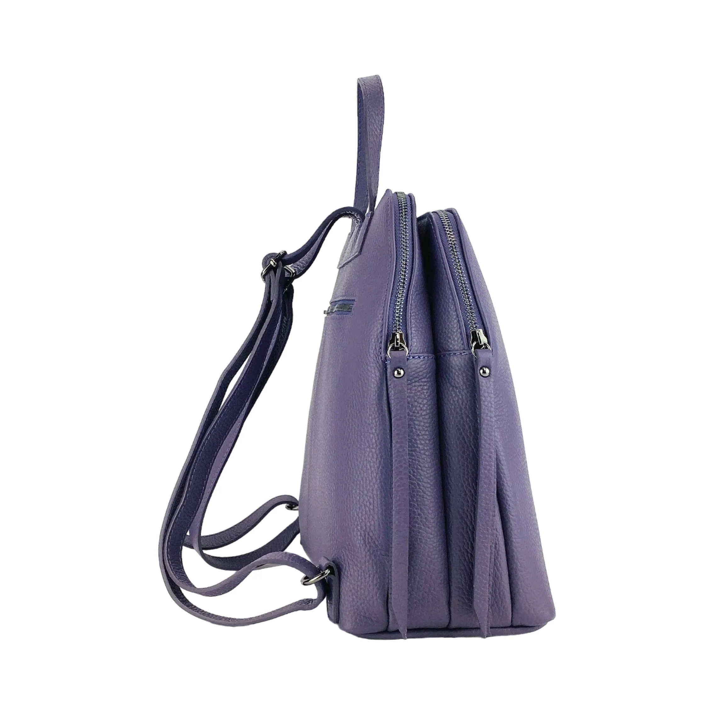 Renato Borzatta Leather Double Compartment Backpack Purple